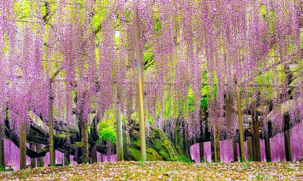 Los jardines más curiosos del mundo para dar la bienvenida a la primavera