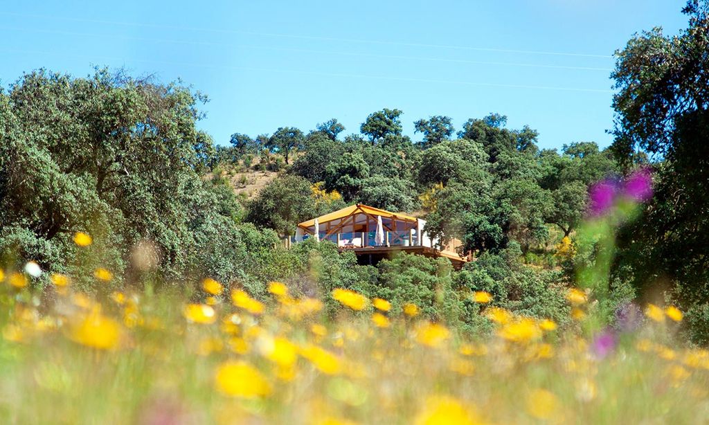 Las cabañas con las que siempre soñaste están en la dehesa cordobesa