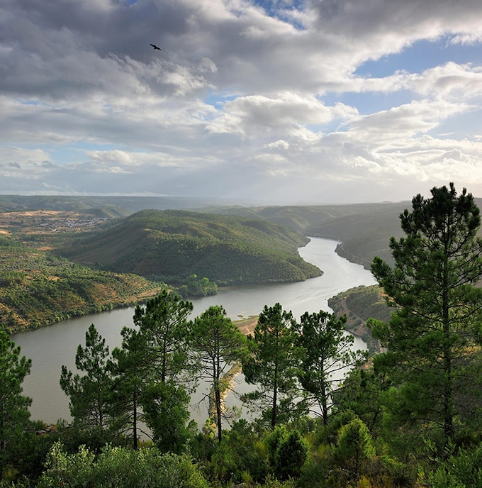 Tajo-Tejo, el parque natural transfronterizo que comparten España y Portugal