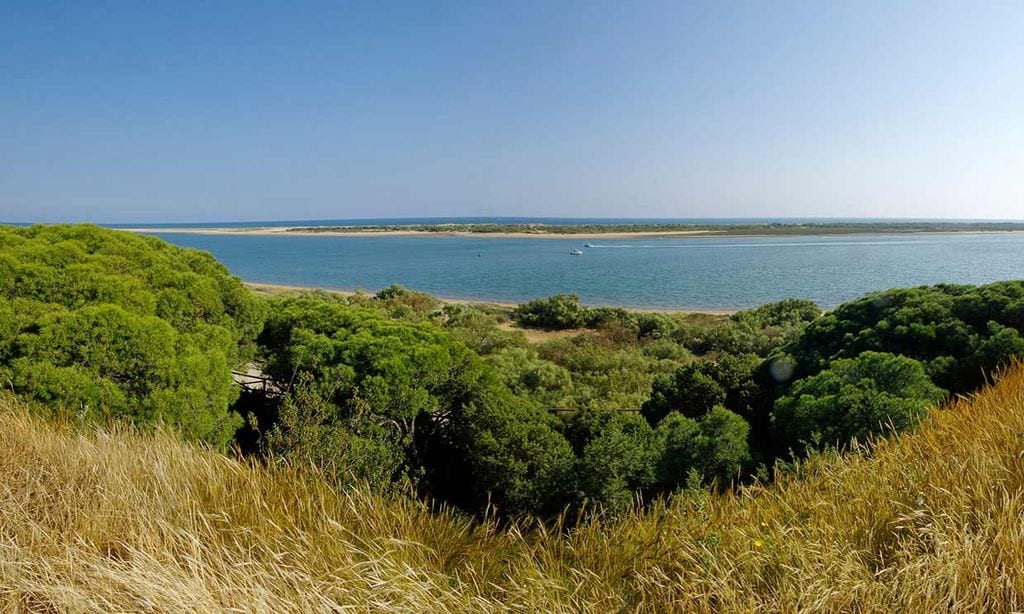 Flecha del Rompido, kilómetros de playas naturales en Huelva