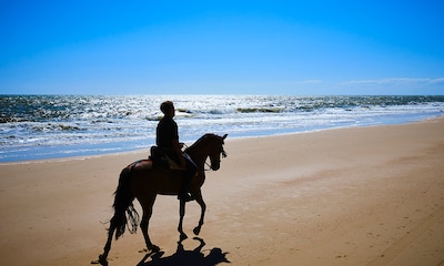 Paseos a caballo por la playa, amanecer entre la fauna y mil experiencias más en Doñana 