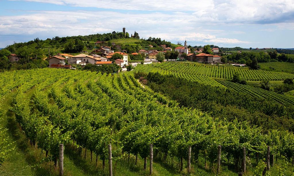 Nos vamos de ruta por Goriska Brda, la Toscana eslovena 