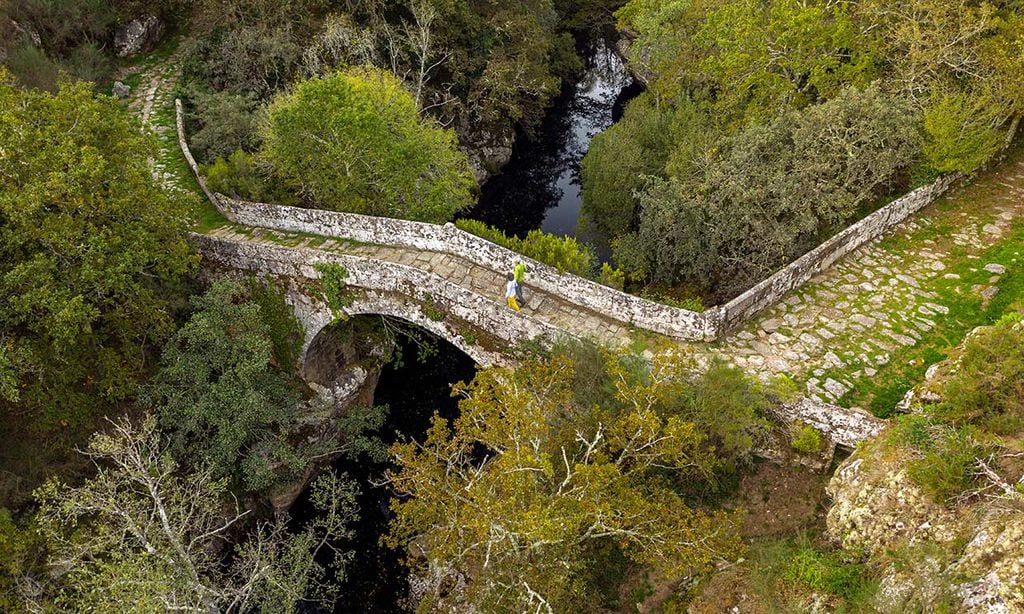 Fraga de Catasós: árboles gigantes y un paseo de hojarasca en Galicia 