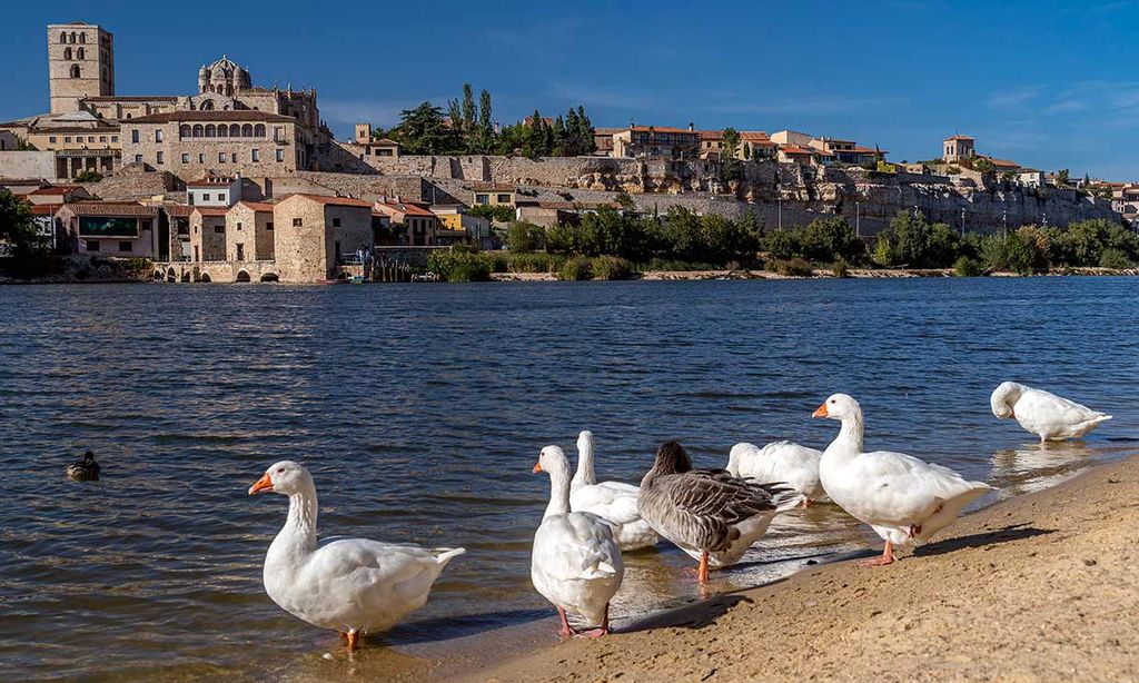 Vista de la ciudad de Zamora desde la playa fluvial de Pelambres