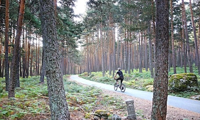 Una ruta en bici sencilla para descubrir el bonito pinar de Valsaín