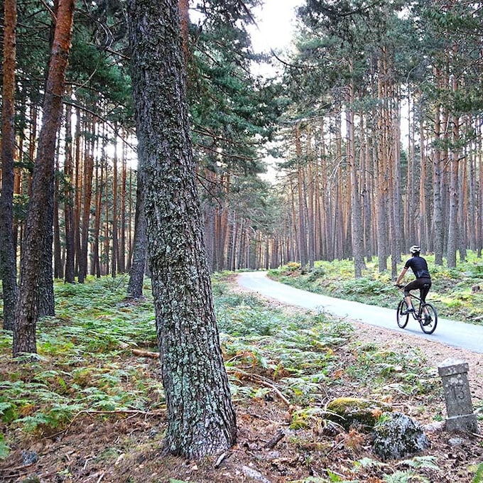 Una ruta en bici sencilla para descubrir el bonito pinar de Valsaín