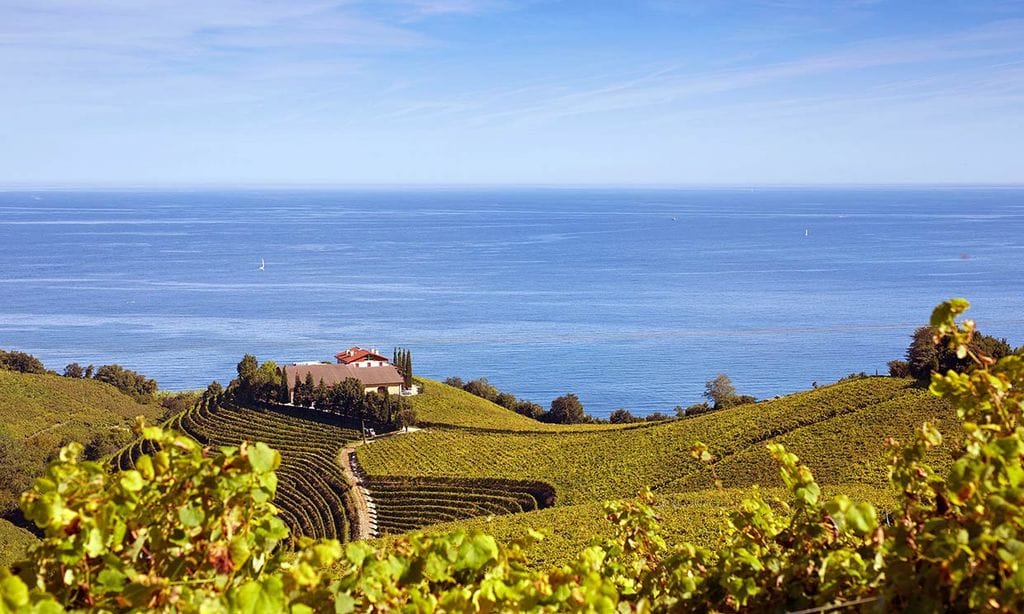 Txomin Etxaniz, bodega de txacoli de Getaria