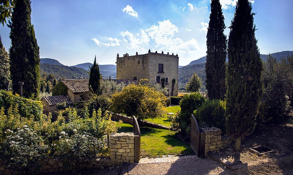 El mejor aceite de oliva del mundo, protagonista de todos estos planes viajeros