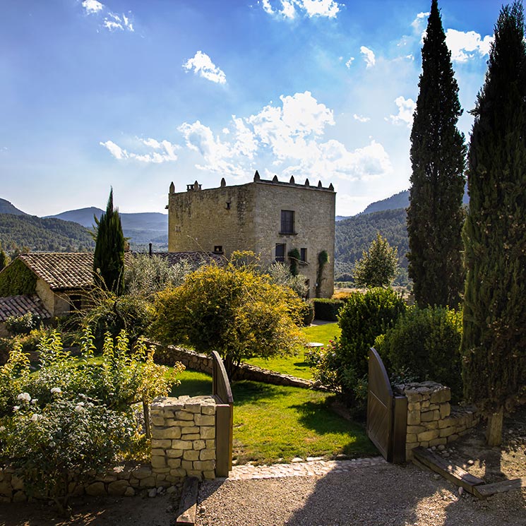 El mejor aceite de oliva del mundo, protagonista de todos estos planes viajeros