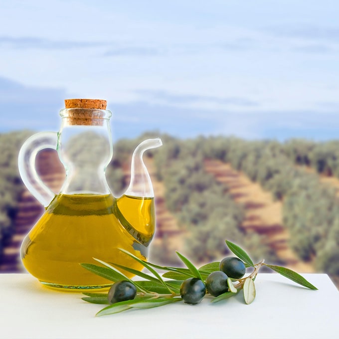 Del olivar a la mesa, la ruta del aceite de oliva por Jaén