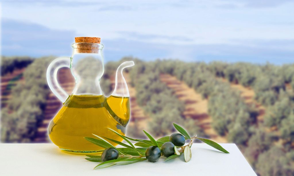 Del olivar a la mesa, la ruta del aceite de oliva por Jaén