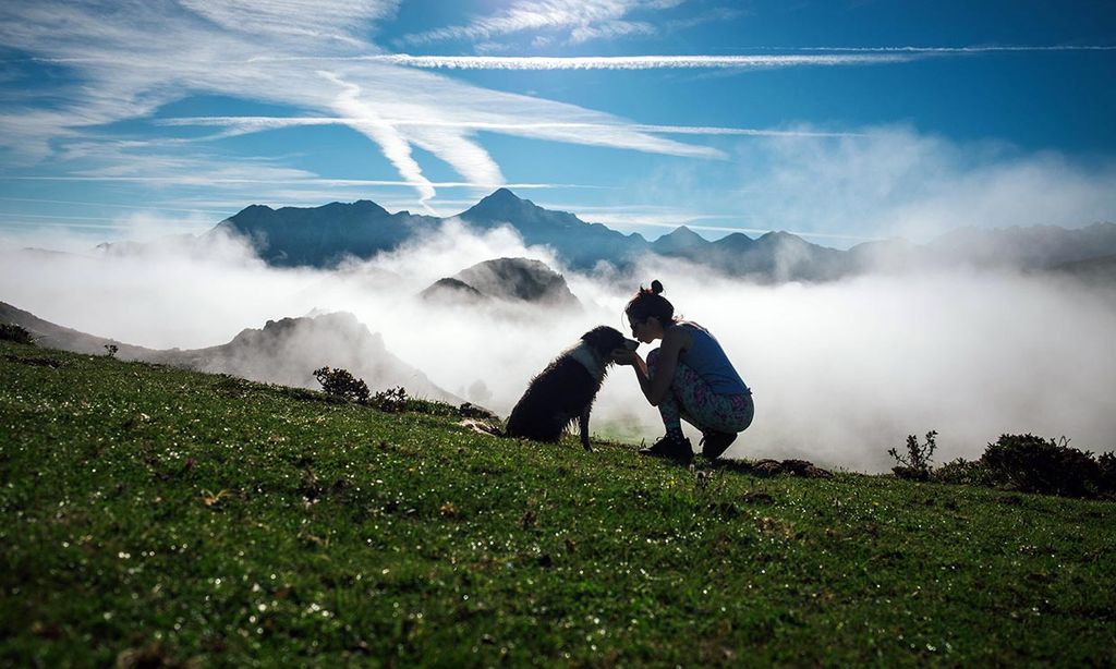 Planes para viajar con tu perro en 2023, uno para cada mes del año