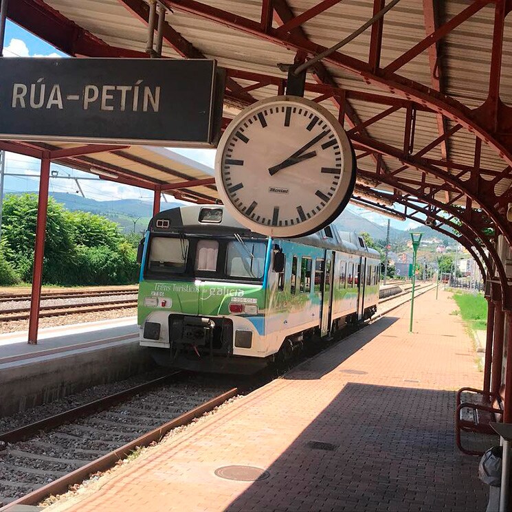 Galicia en tren turístico entre camelias y catas de cerveza