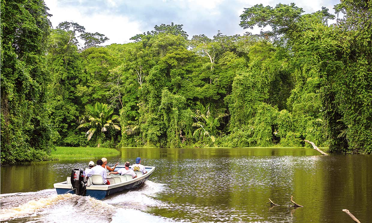 Pistas para visitar el Parque Nacional de Tortuguero en Costa Rica