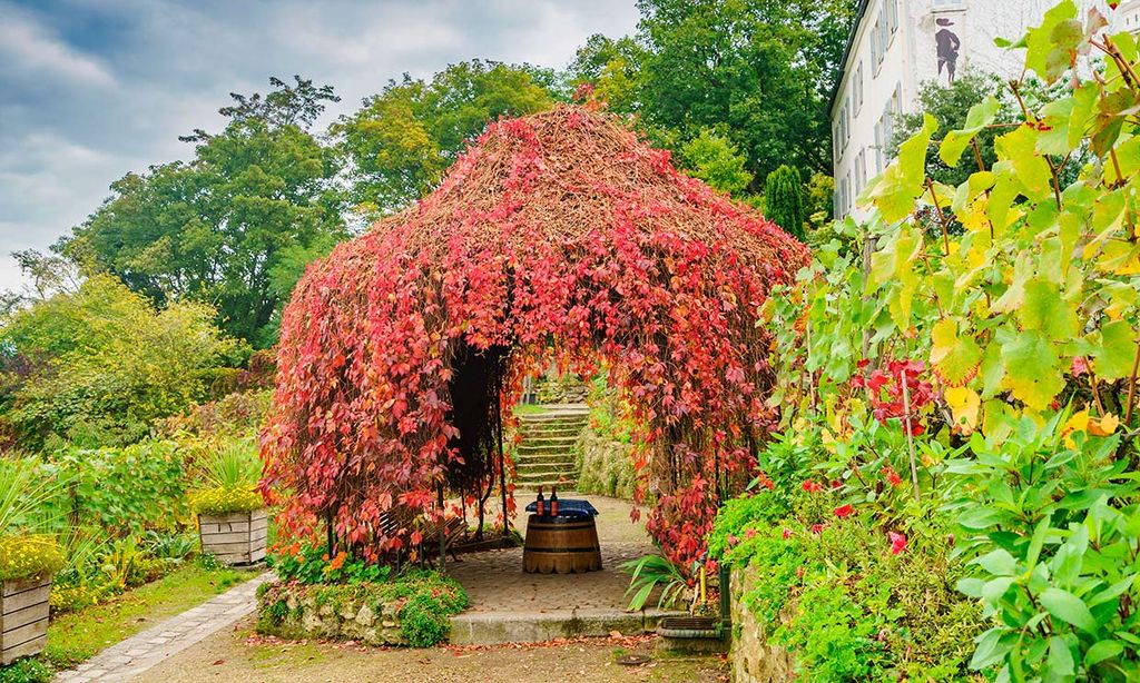 Qué hacer en el barrio de Montmartre en otoño, además de vendimiar