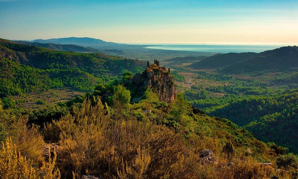 Ruta por el impresionante Desierto de Las Palmas, el más selvático de Castellón