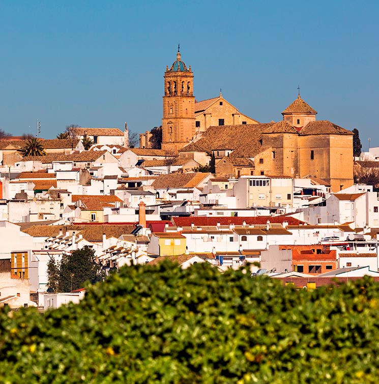 Montilla, una ciudad para rendir culto al vino andaluz