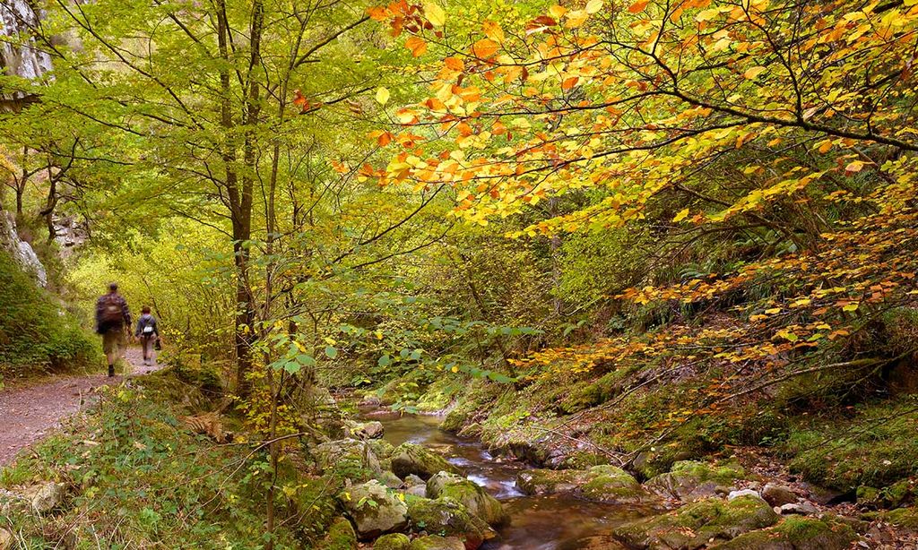 Ruta del Alba, la senda asturiana más bella para caminar por la naturaleza