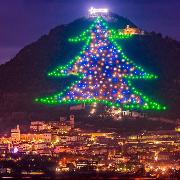 Así brillan los árboles de Navidad más bonitos del mundo