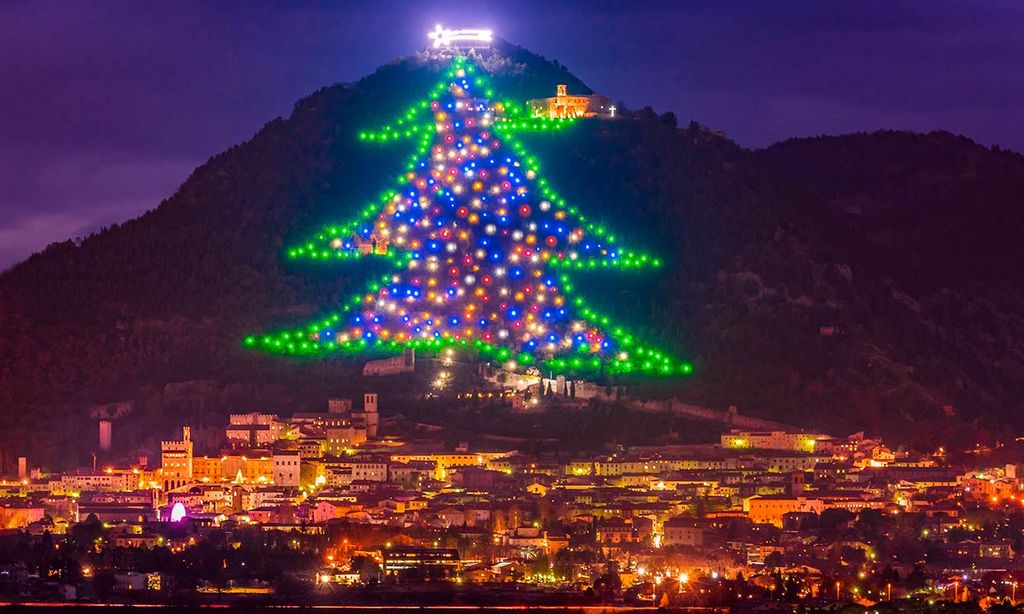 Así brillan los árboles de Navidad más bonitos del mundo