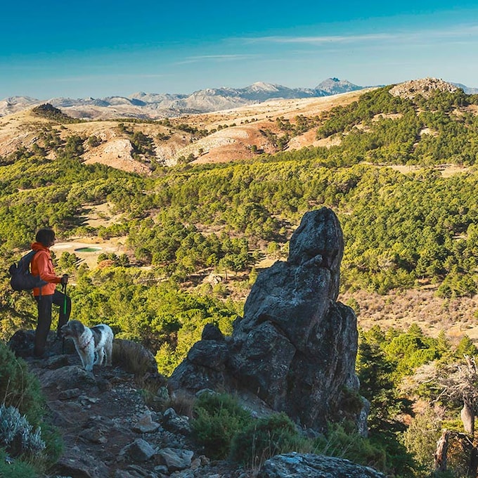 Todo lo que puedes hacer en los 16 Parques Nacionales de España  