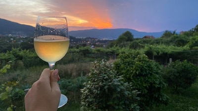 No son bares, son furanchos, los lugares más auténticos para beber y comer en Galicia
