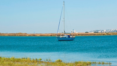 Las marismas del Odiel, un tesoro natural entre Huelva y Punta Umbría
