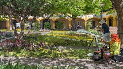 Dos días en Arles, la encantadora ciudad de la Provenza que pintó Van Gogh