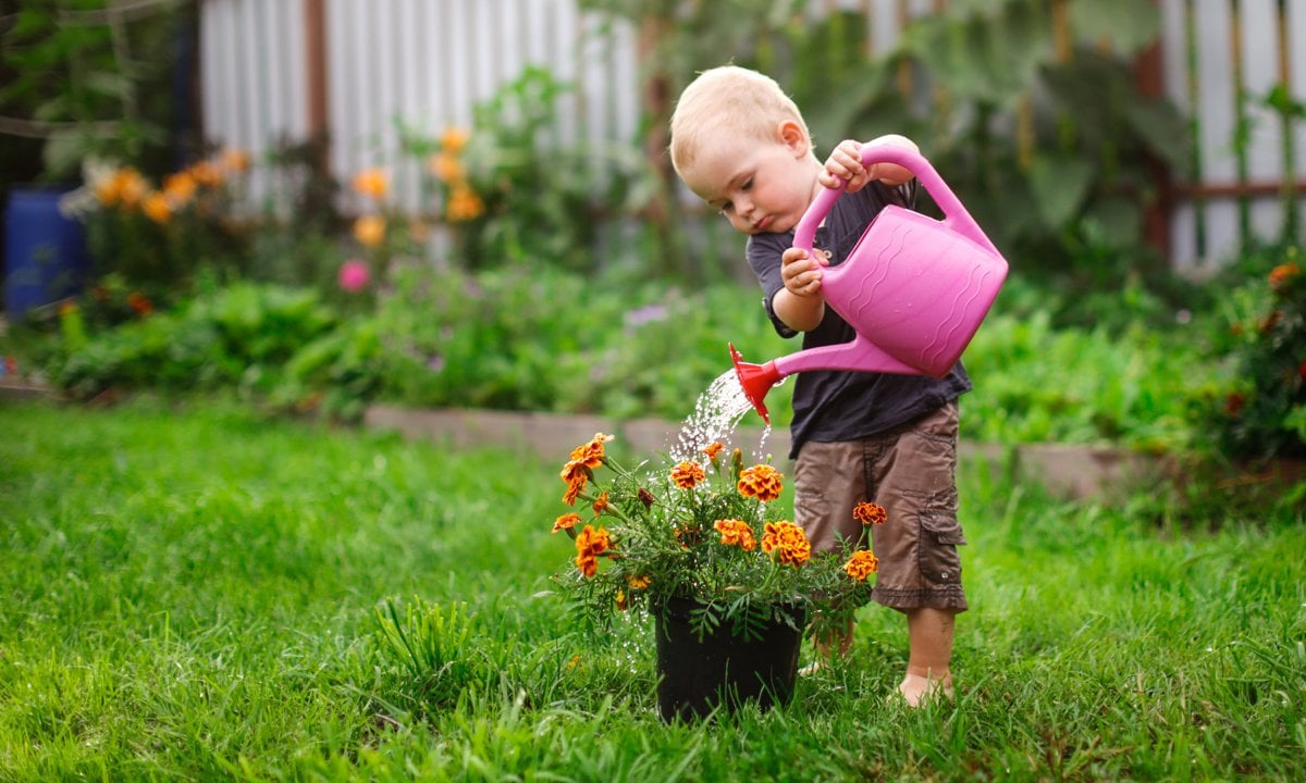 Niño regando una planta en el jardín.