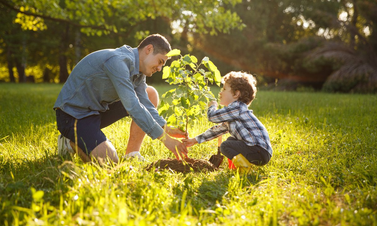Padre e hijo plantando un pequeño árbol en el jardín.