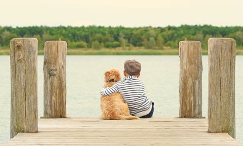 Niño sentado con su perro en una pasarela