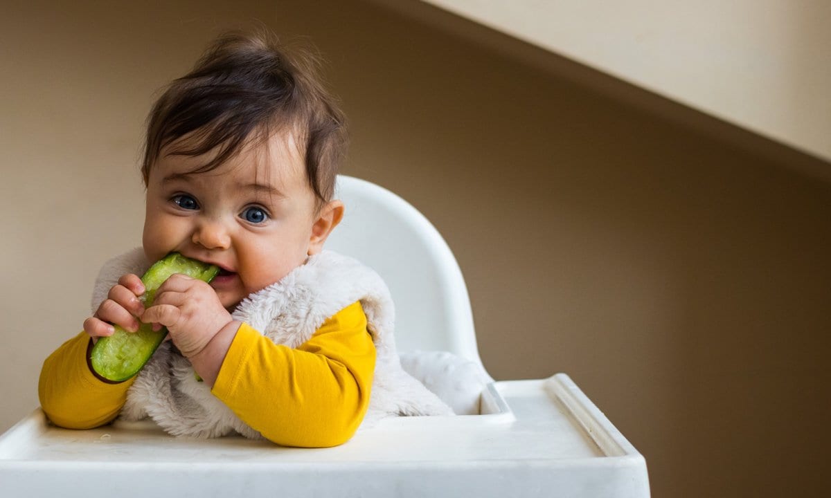 Bebé comiendo un pepino en la trona.