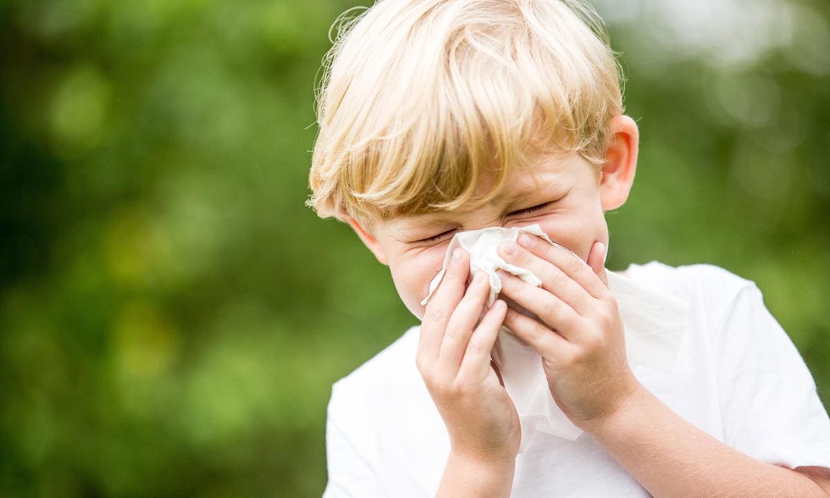 Niño estornudando y sonandose los mocos por alergia