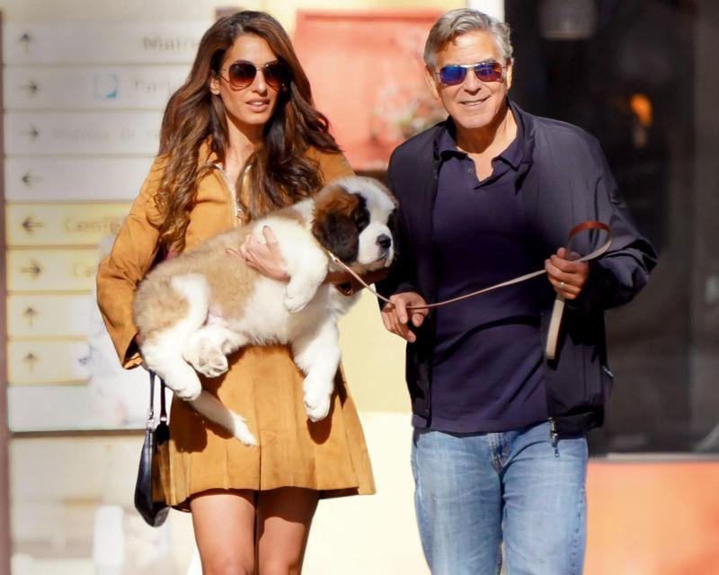 George Clooney y Amal HO4151