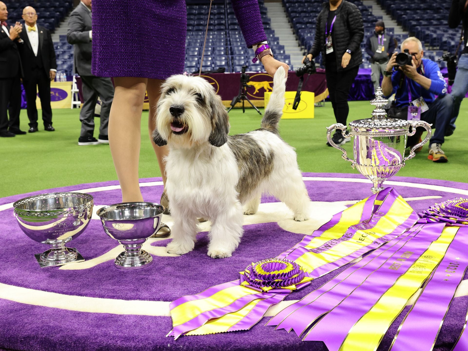 Buy best of breed westminster dog show Online Sale