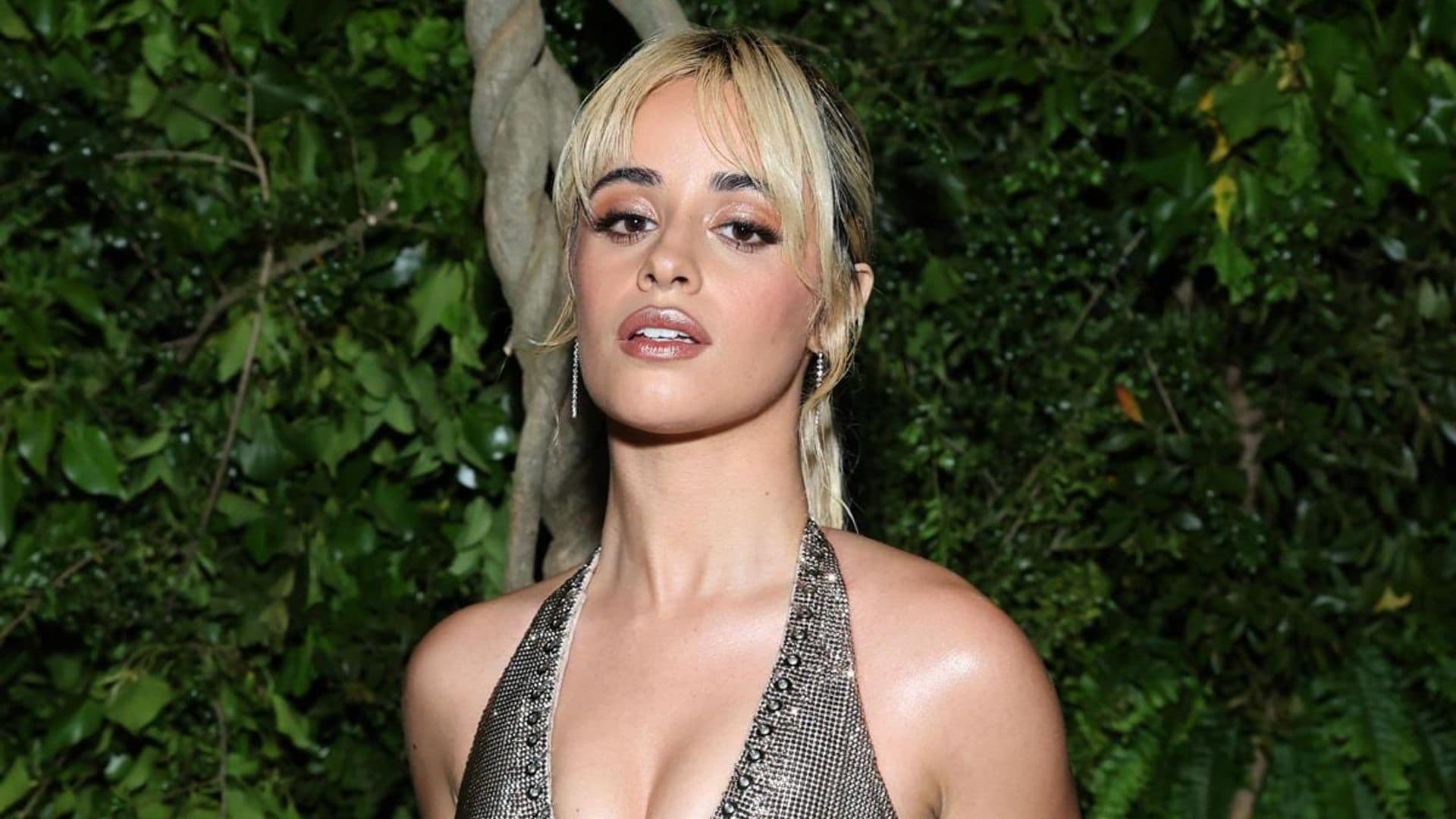 Camila Cabello discusses the public’s opinion of her; ‘That affected me a lot’
