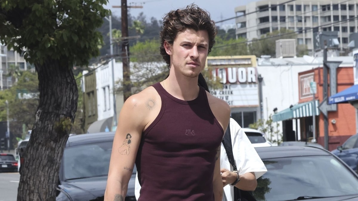Shawn Mendes enjoys lunch with his friend, Dr. Jocelyne Miranda