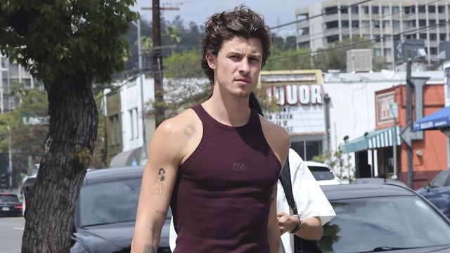 Spotted in Los Feliz: Shawn Mendes and Dr. Jocelyne Miranda enjoy a quiet lunch, fueling fan speculation.