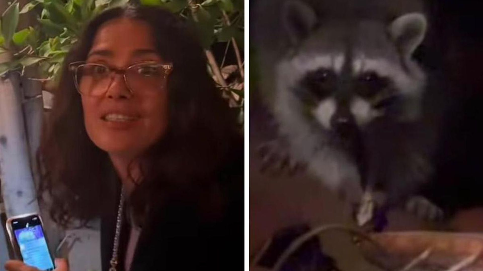 Salma Hayek befriends raccoons using pizza and encourages them to share