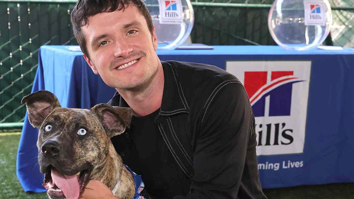 Pet of the Week: Josh Hutcherson’s rescue dogs Manchi and Driver ...
