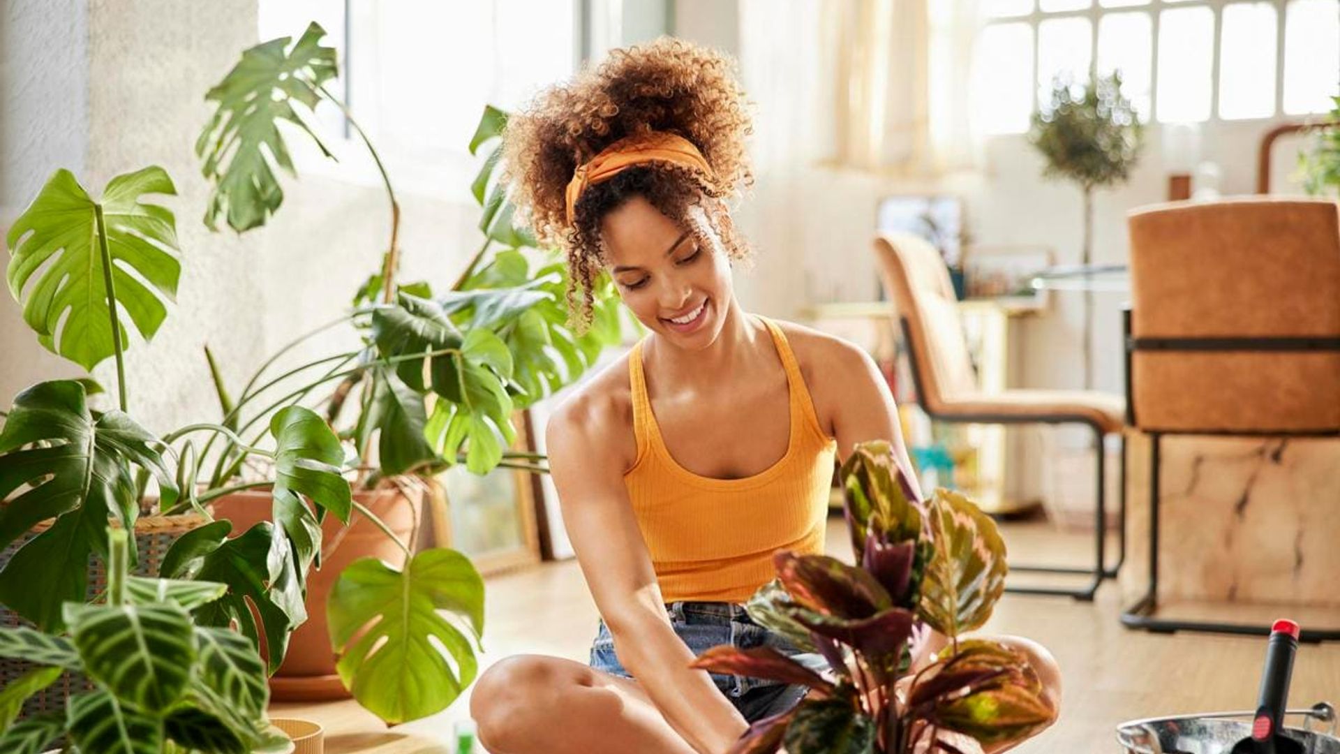 The positive energy of plants