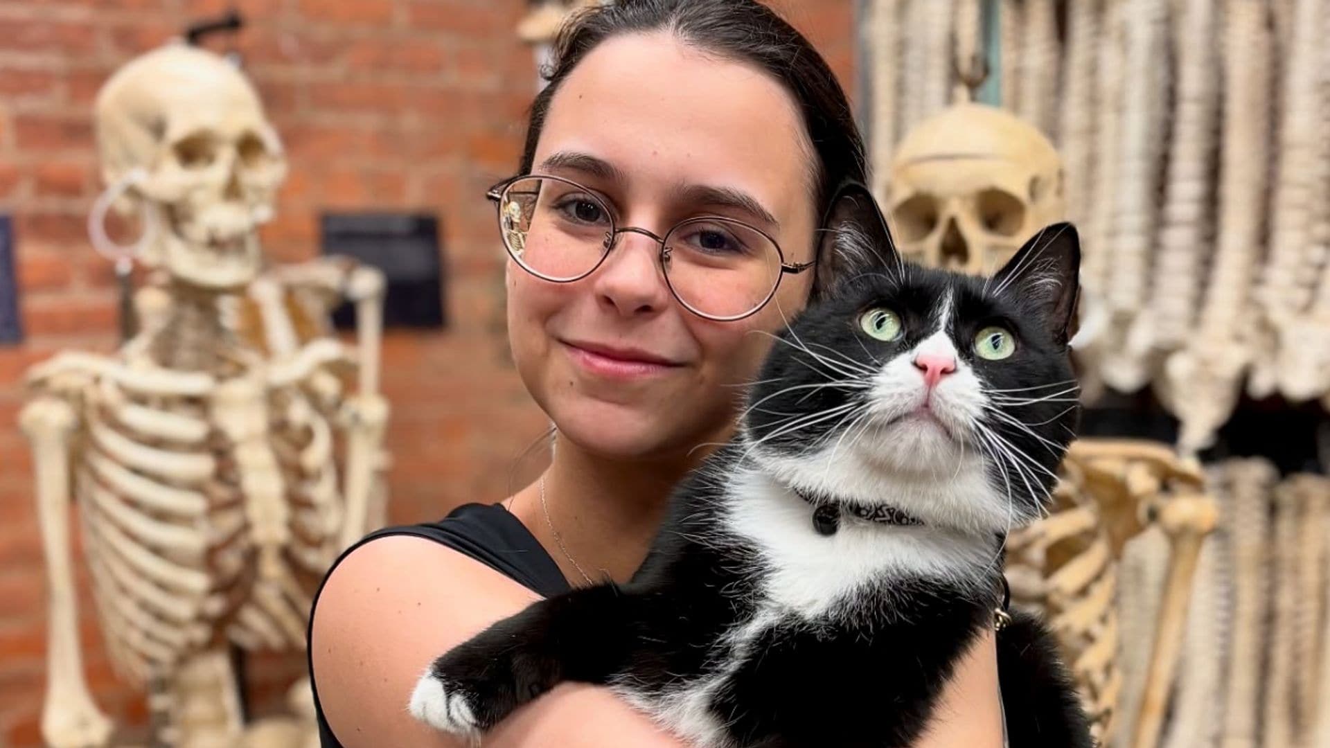 Pet of the week: Meet Bone Jovi, the shelter cat who found a home in a museum