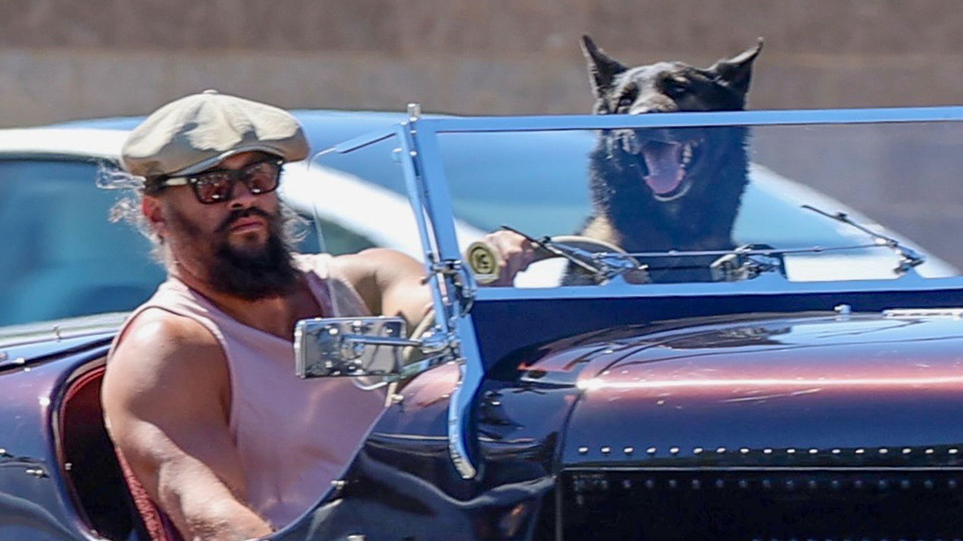 Jason Momoa and his dog driving through Calabasas