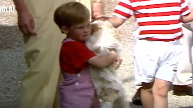 Prince Harry puppy
