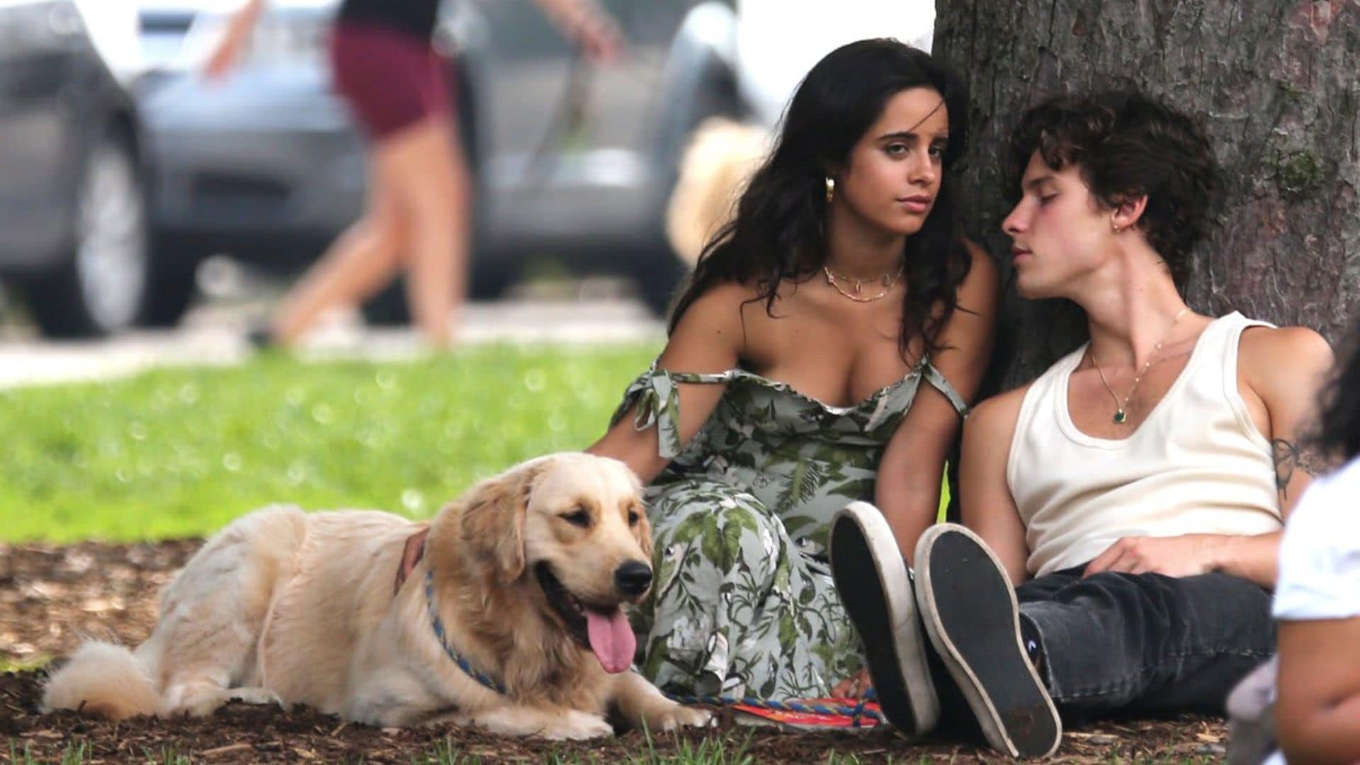 Camila Cabello and Shawn Mendes looked adorable together having a relaxing day at the park