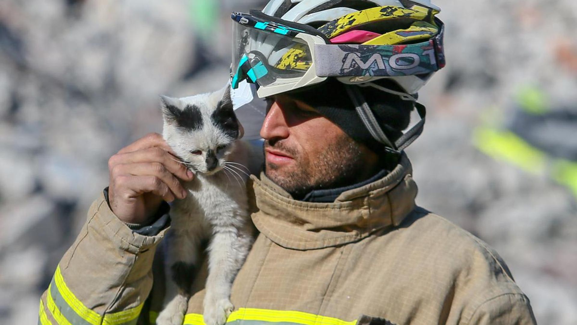 Pet of the week: Cat saved from Turkey earthquake refuses to leave his rescuer’s side