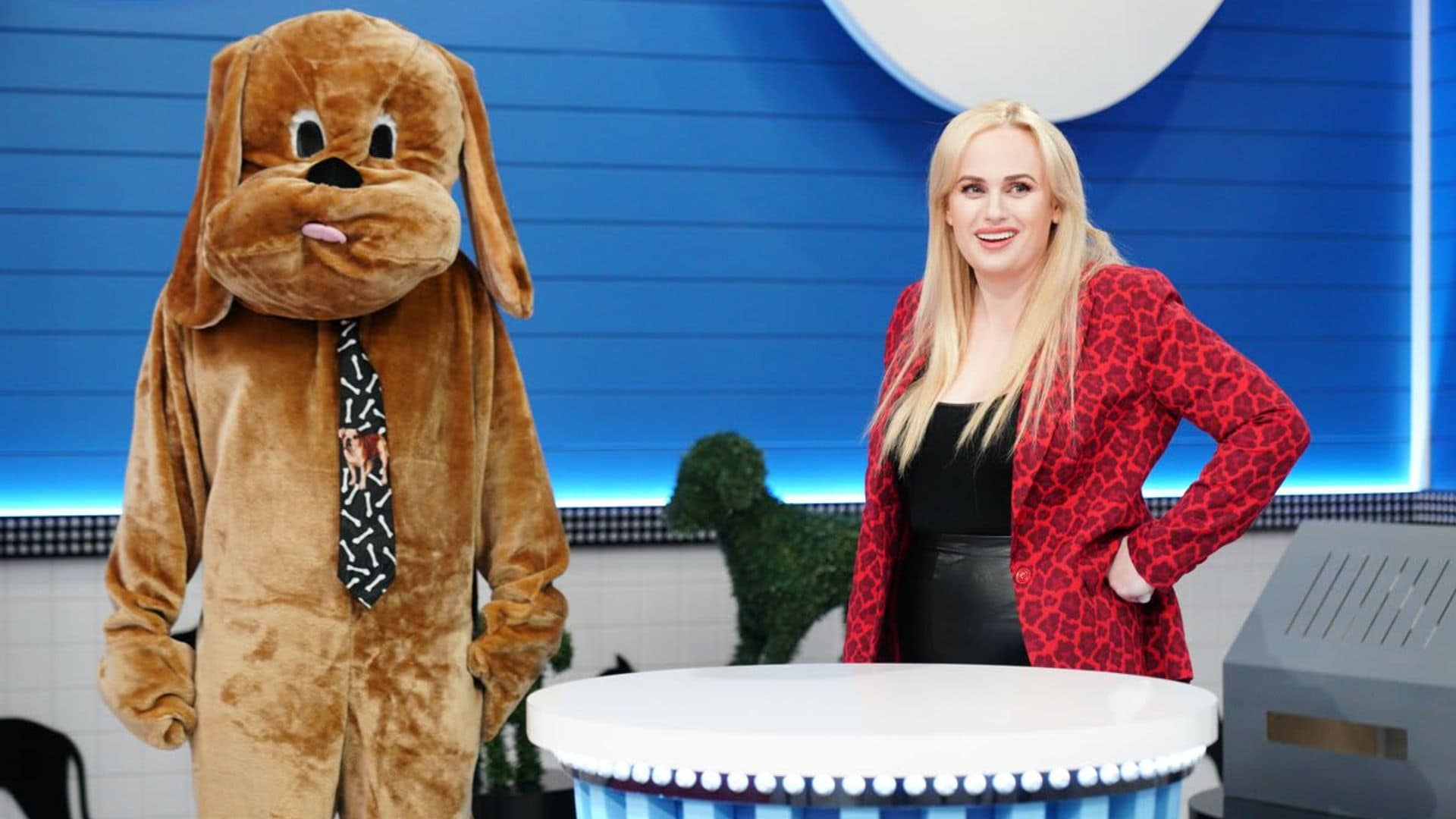 Rebel Wilson injured in London biking accident with an unleashed dog