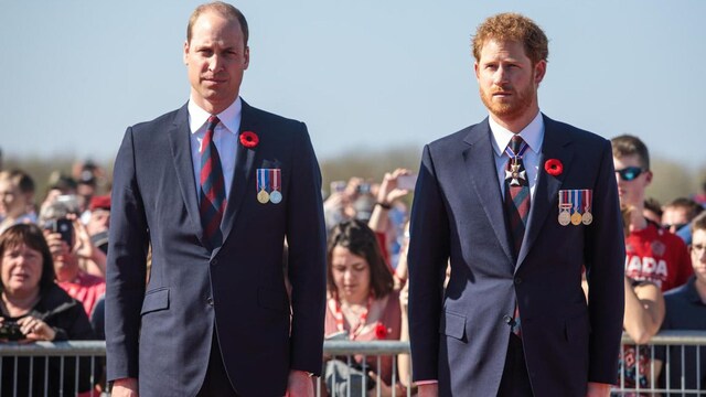 Prince Harry, Prince William mourn death of family member