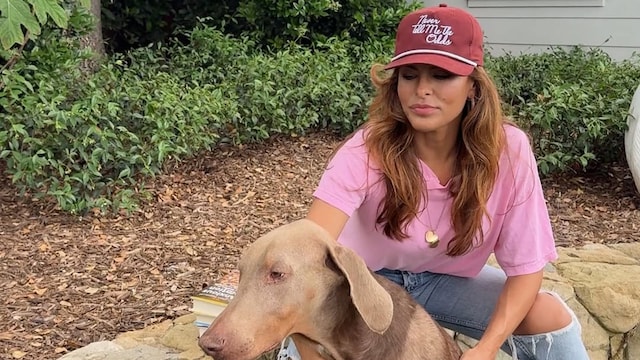 Eva Mendes' dogs go viral: Lucho's camera hate vs. Magic's model poses