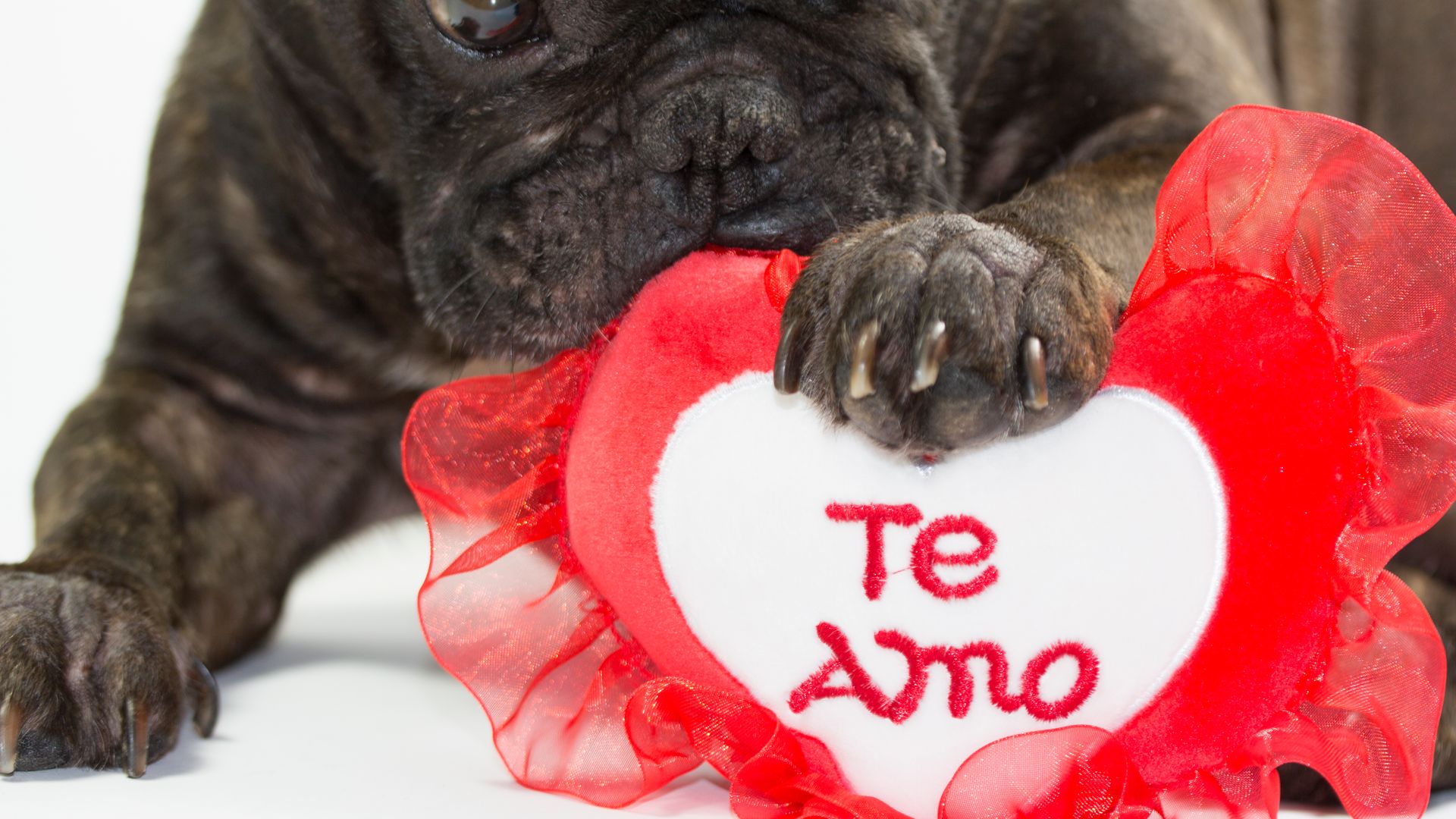 Why Spanish might be the happiest language, according to research